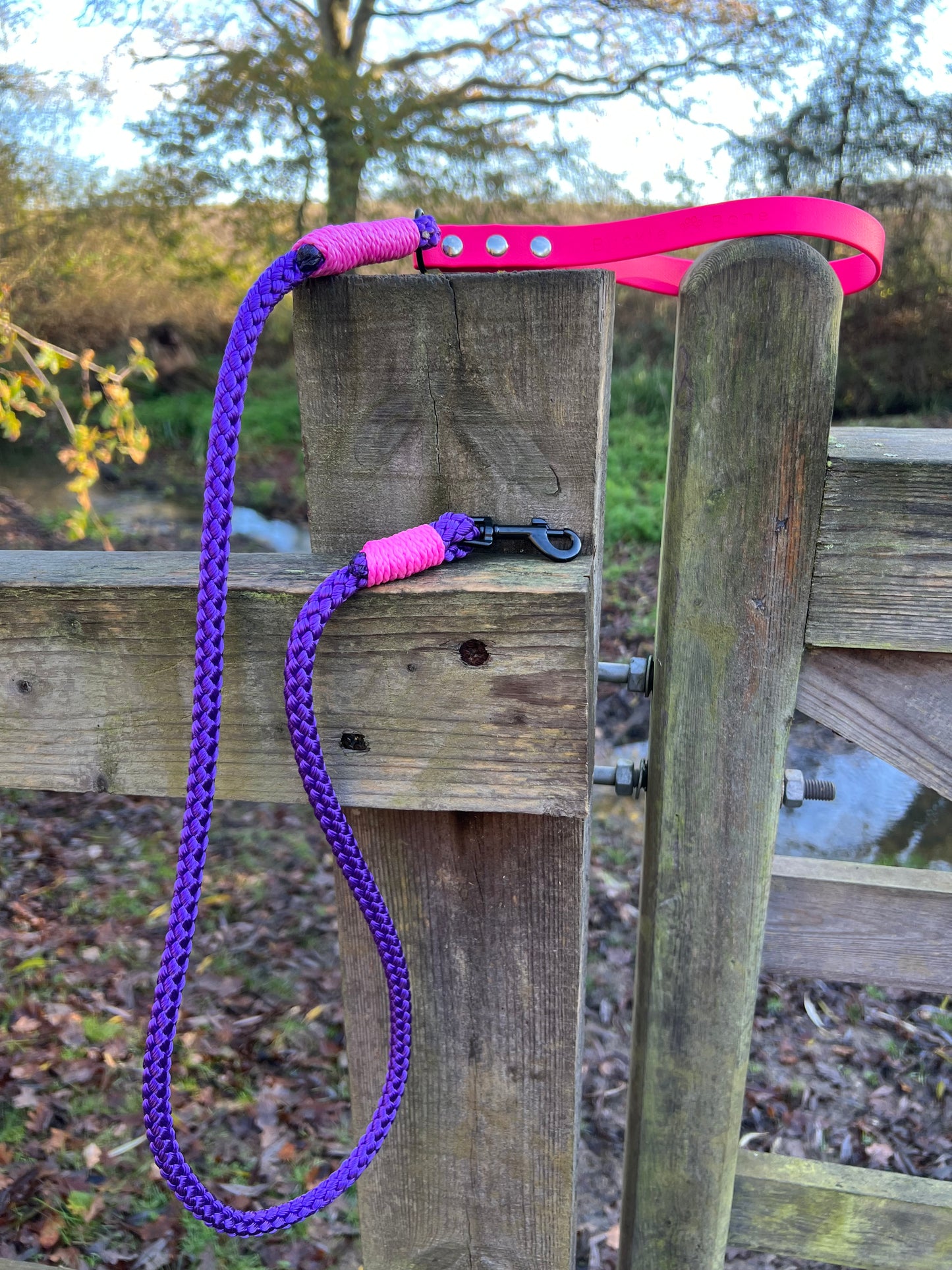 Rope / Biothane leads (Pink - Purple)