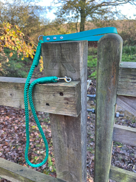 Rope Clip Lead with BioThane® Handle - Teal