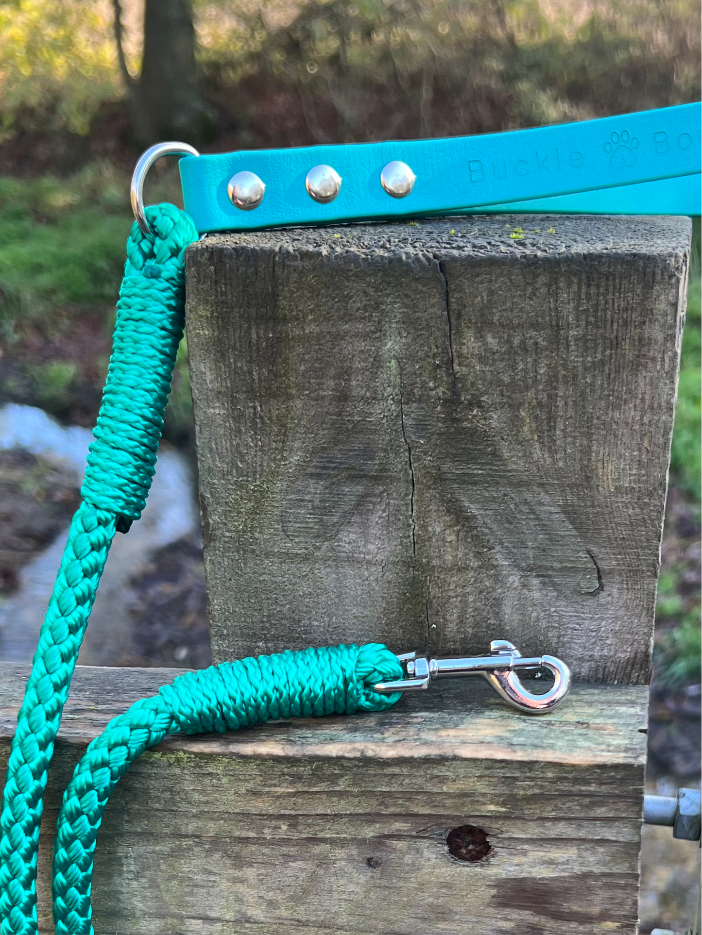 Rope Clip Lead with BioThane® Handle - Teal