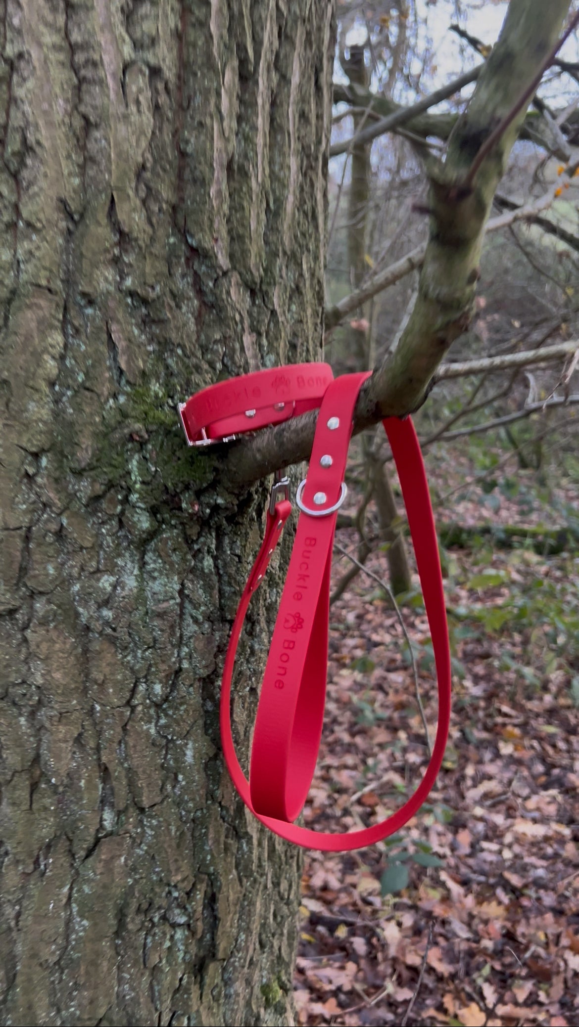 Classic BioThane© Collar - Red