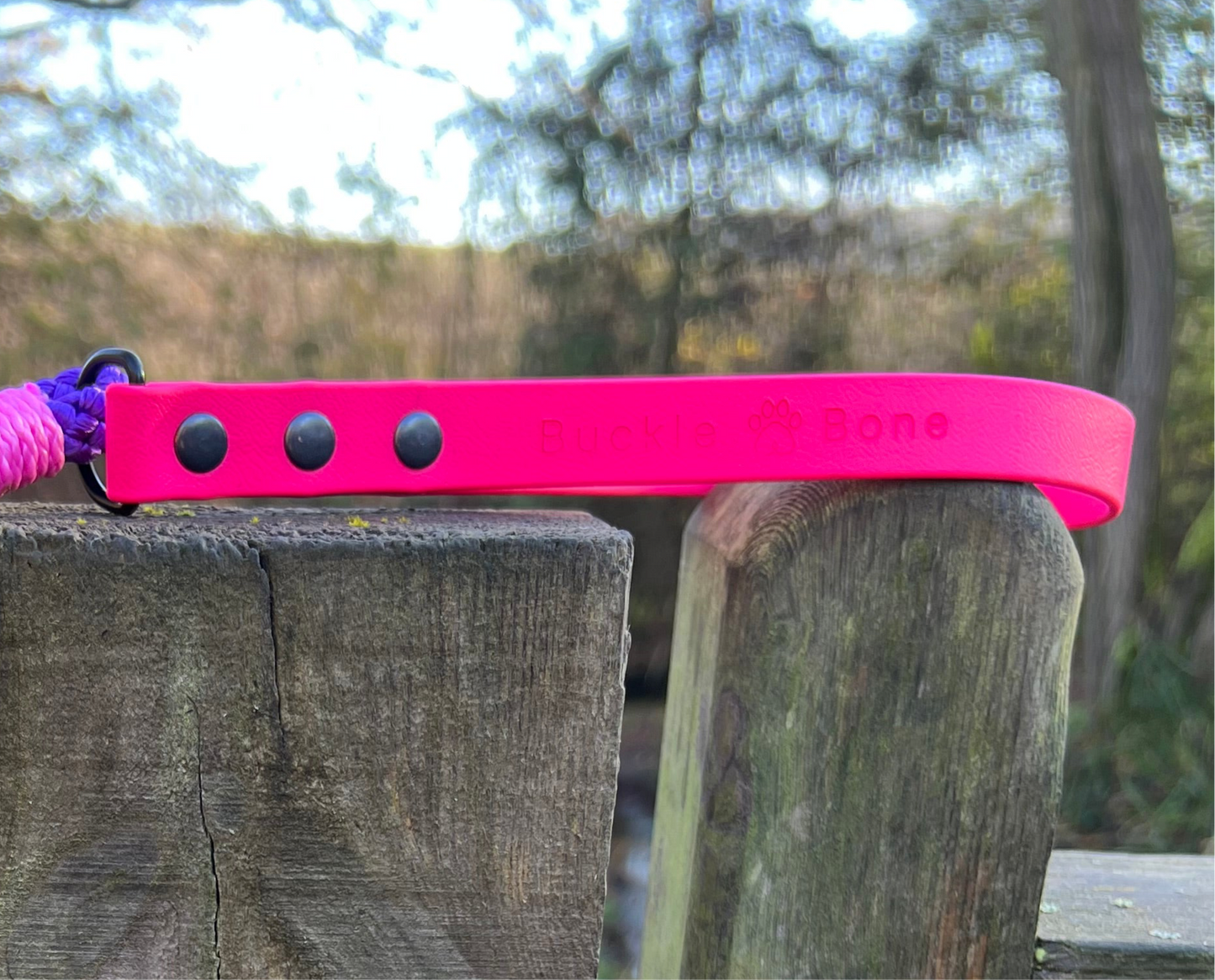 Rope Slip Lead with BioThane® Handle - Pink & Purple