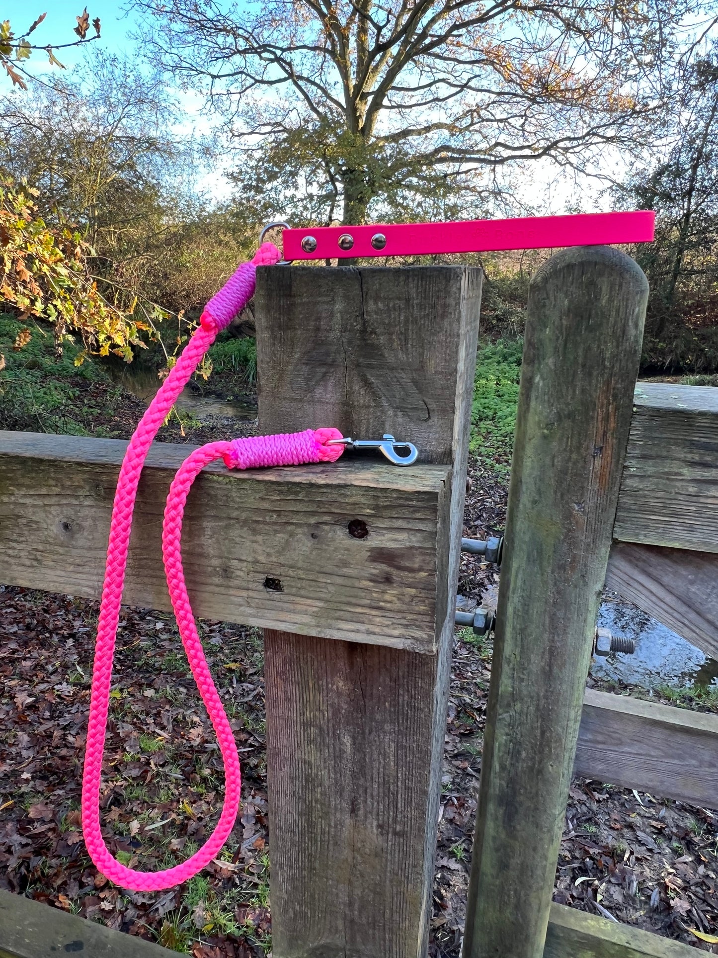 Rope Clip Lead with BioThane® Handle - Pink