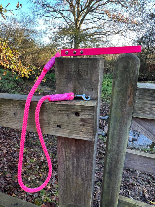 Rope Clip Lead with BioThane® Handle - Pink