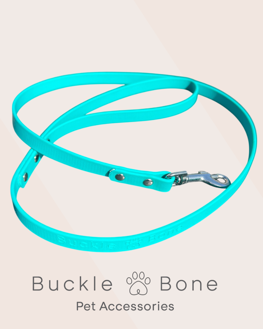 Mini-Me BioThaneĀ® Teal Lead