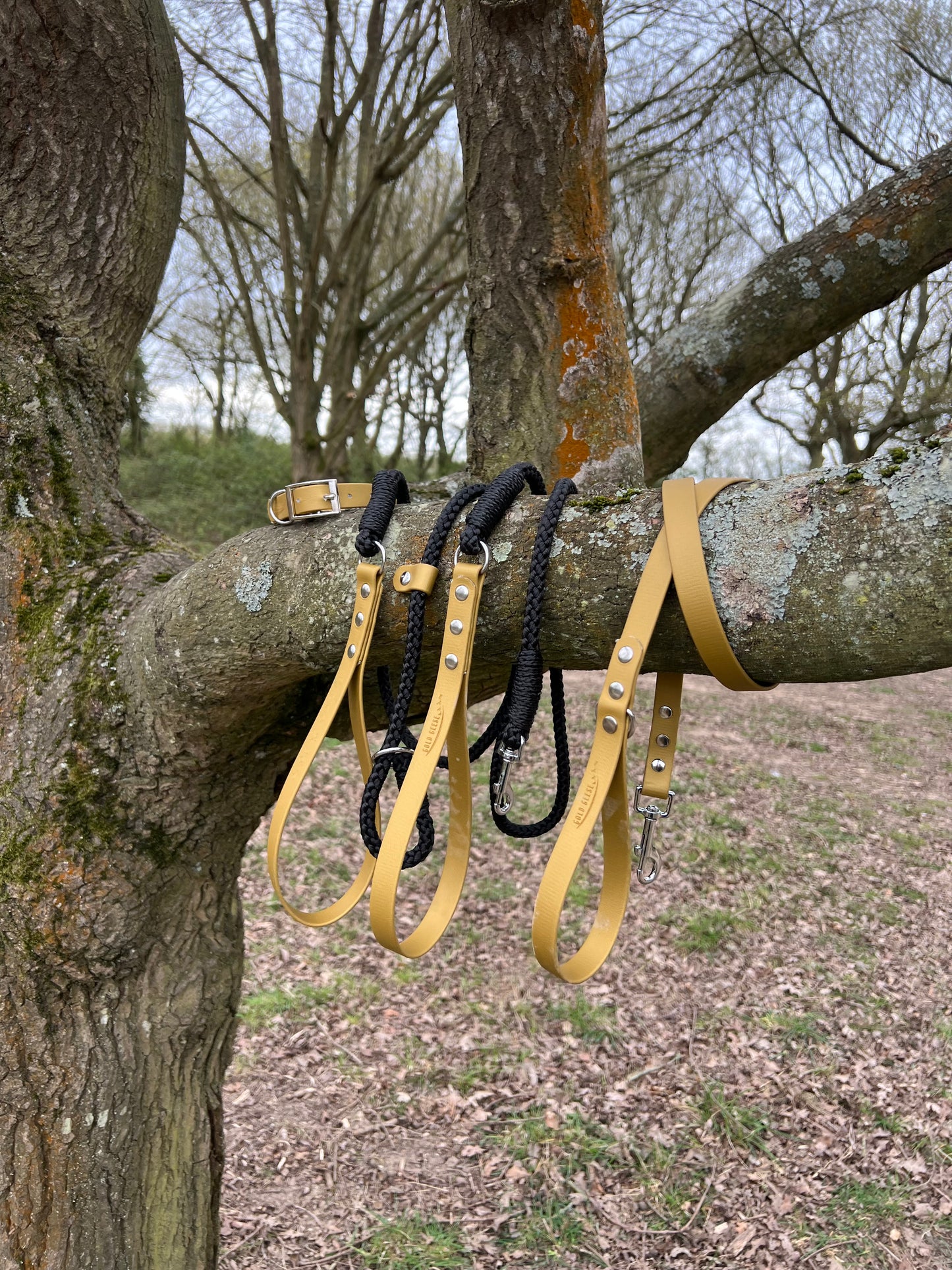 Gold Geese “Walk for Hope” BioThane® Dog Lead