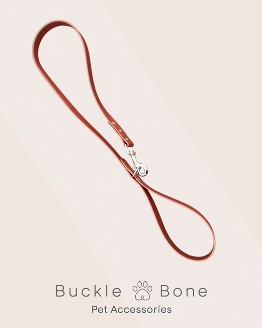 Saddle Brown - Waterproof BioThane© Dog Lead