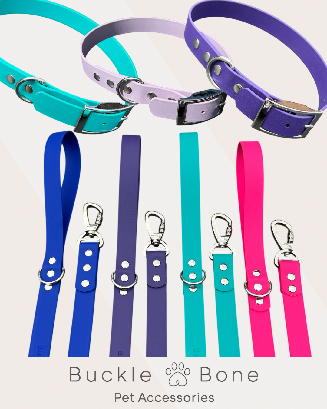 Heavy Duty BioThane© Leads And Collars