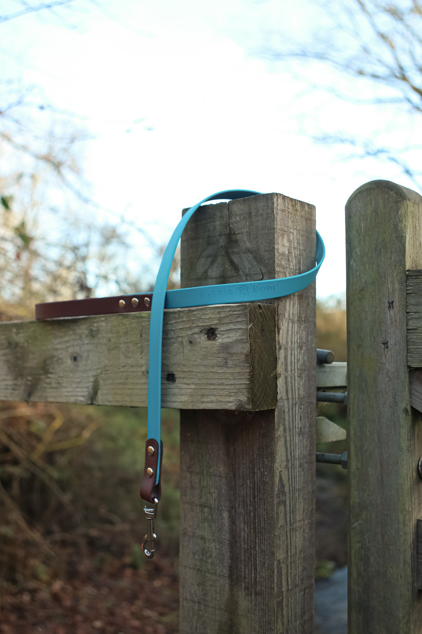 Twin Colour BioThane© Dog Lead Brown & Lagune Blue