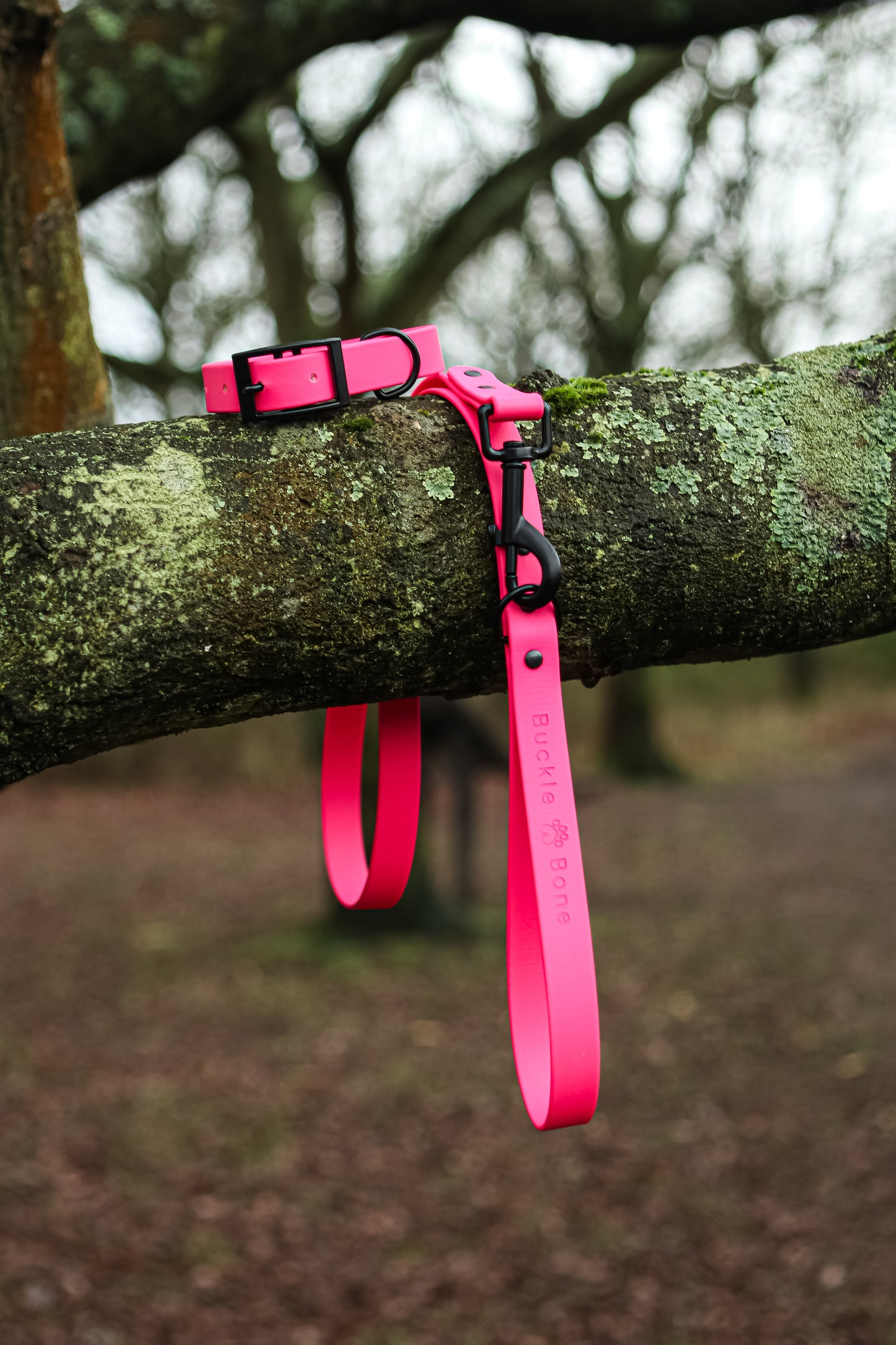 Classic BioThane© Collar - Passion Pink