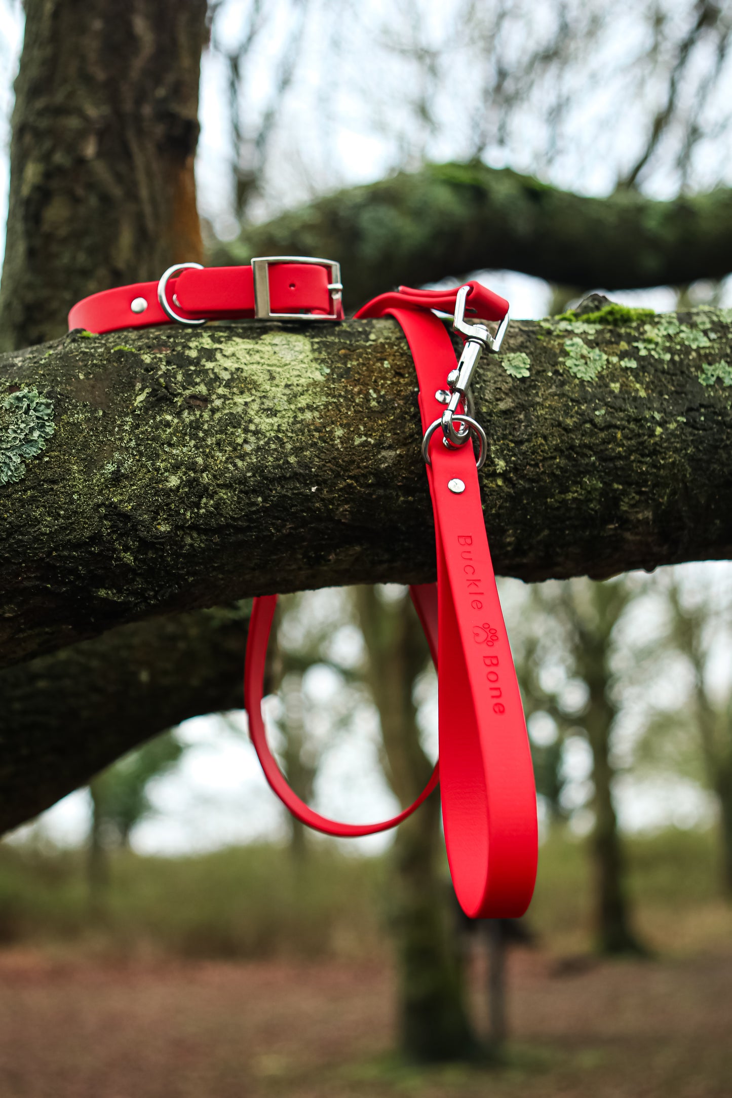 Classic BioThane© Collar - Red
