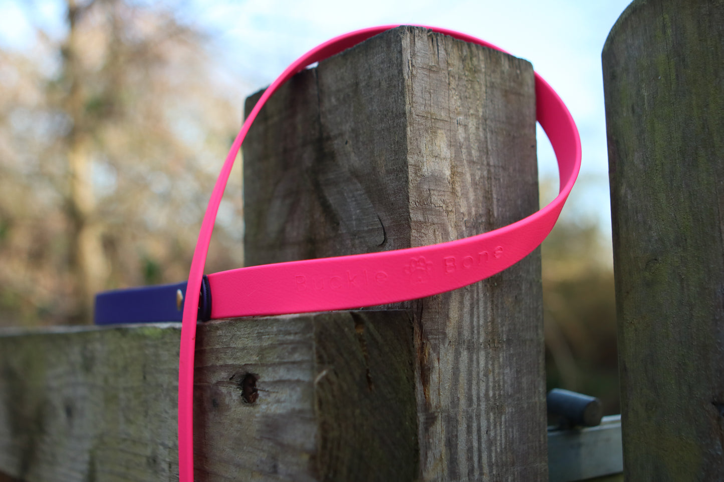 Twin Colour BioThane© Lead Dog Violet & Pink
