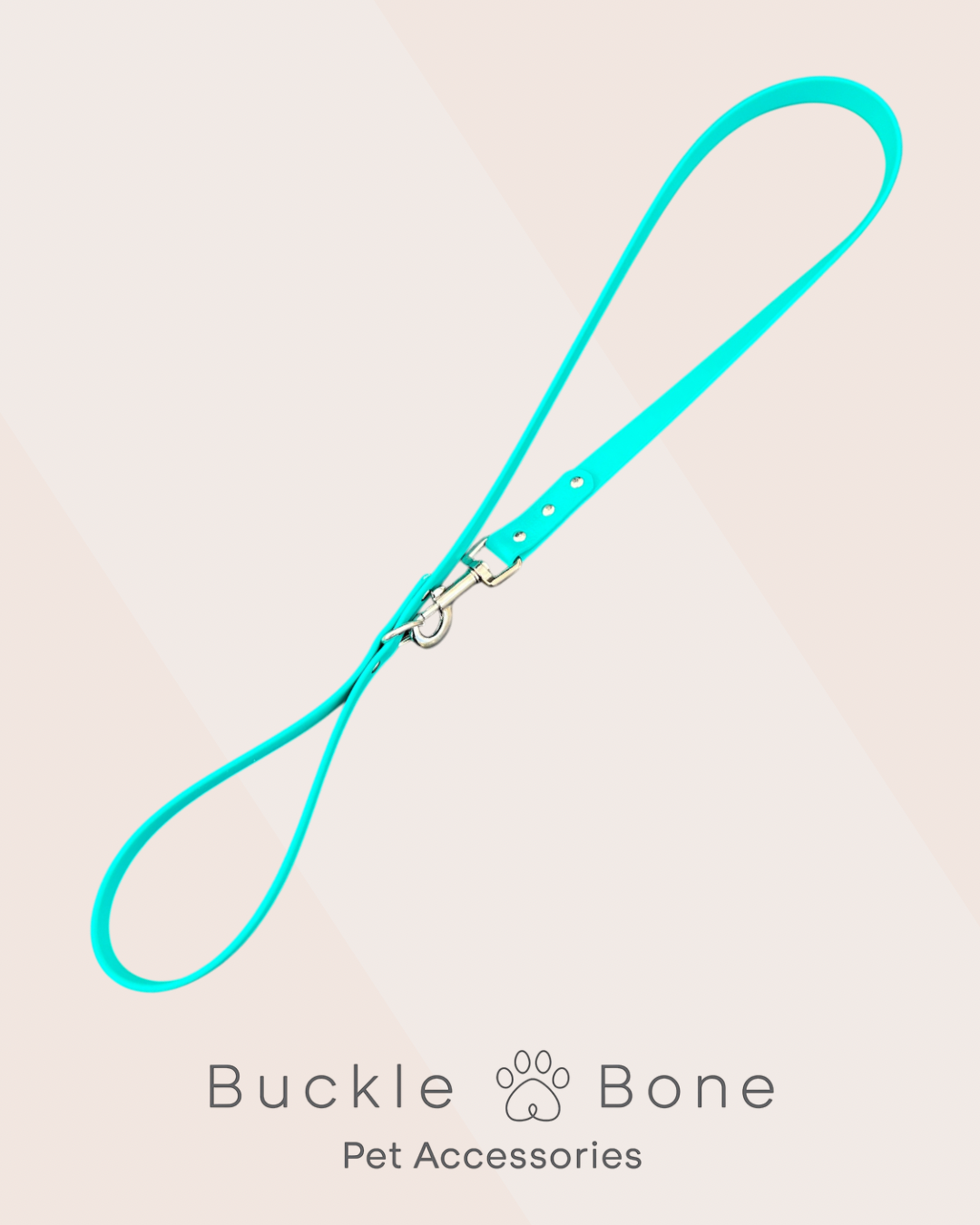 Teal - Waterproof BioThane© Dog Lead