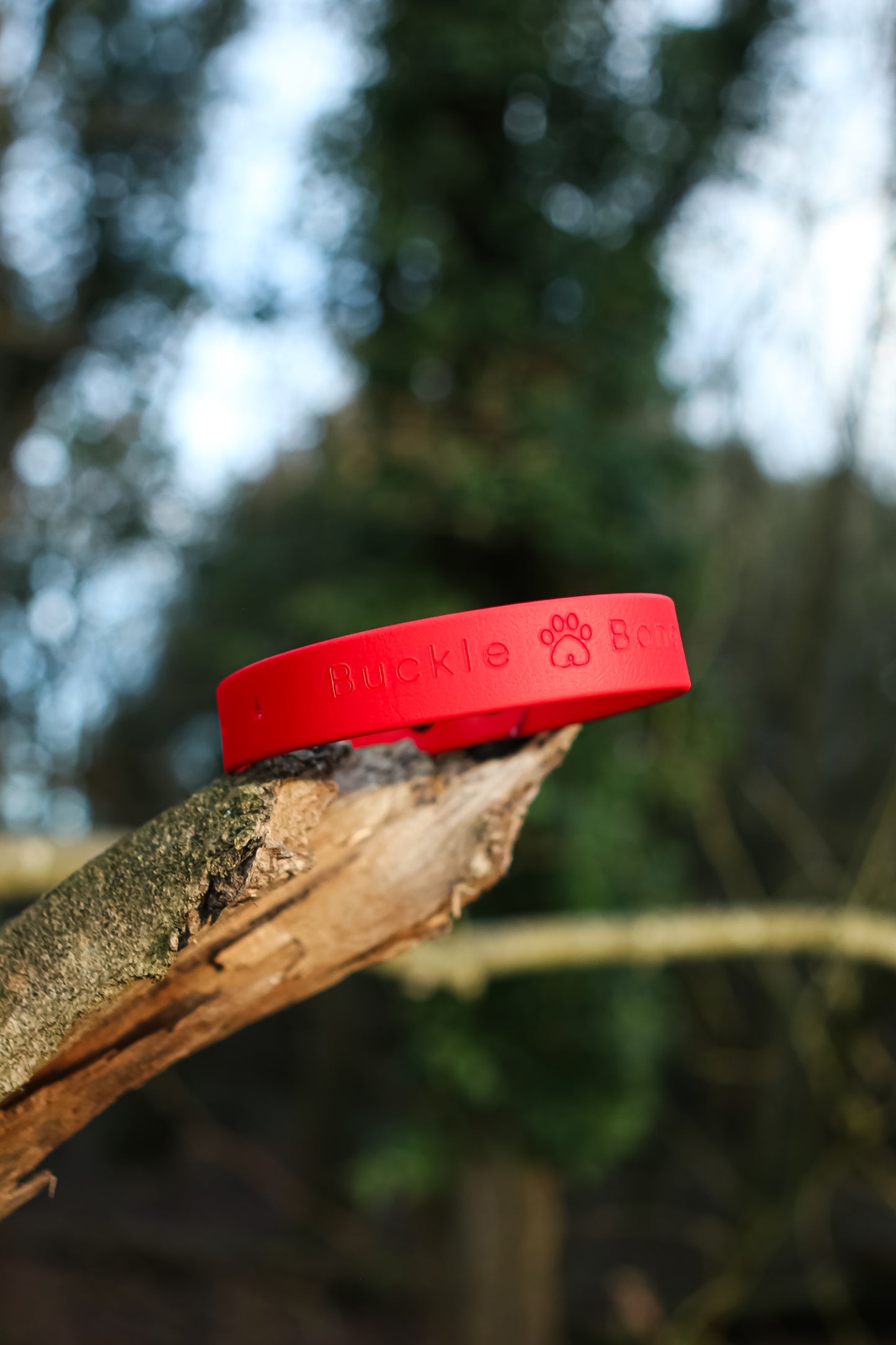 Classic BioThane© Collar - Red
