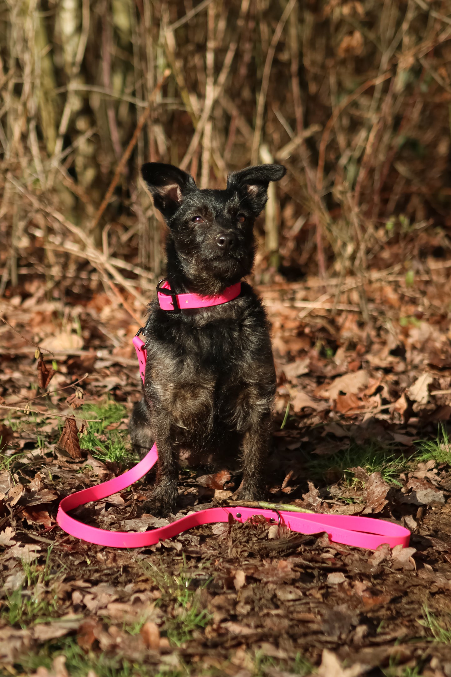 Classic BioThane© Collar - Passion Pink