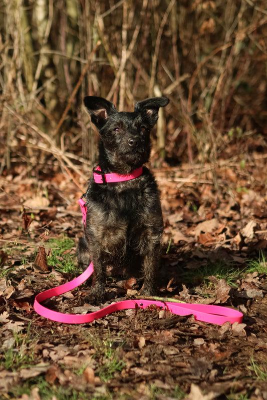 Classic BioThane© Collar - Passion Pink