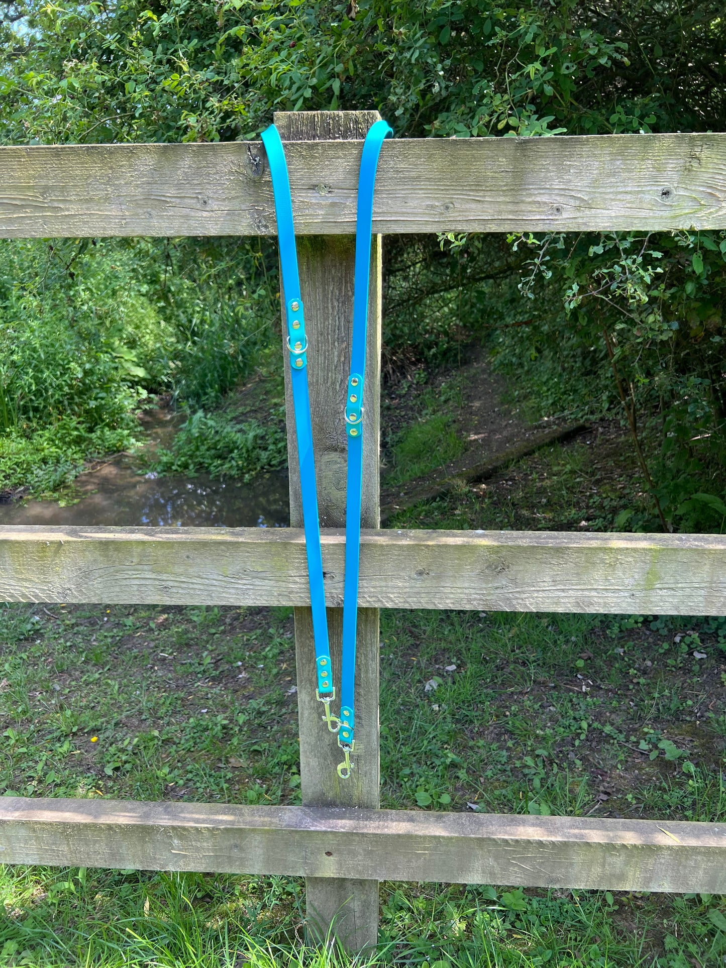 BioThane® Adjustable Dog Training Lead - Lagune/Teal