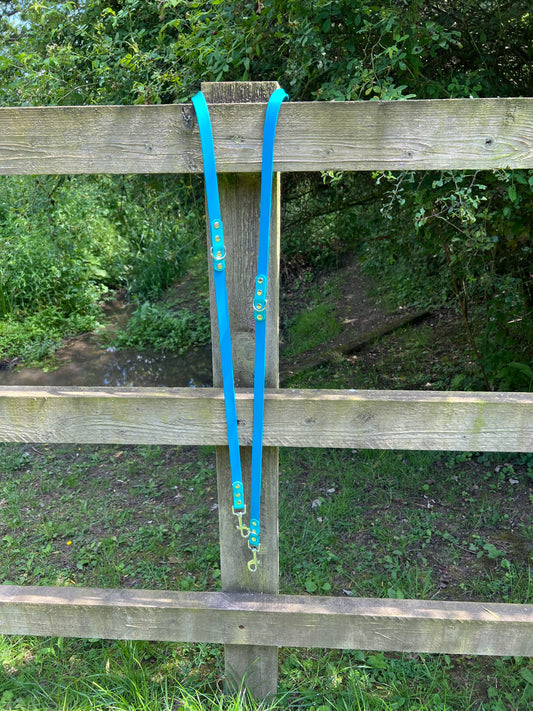 BioThane® Adjustable Dog Training Lead - Lagune/Teal