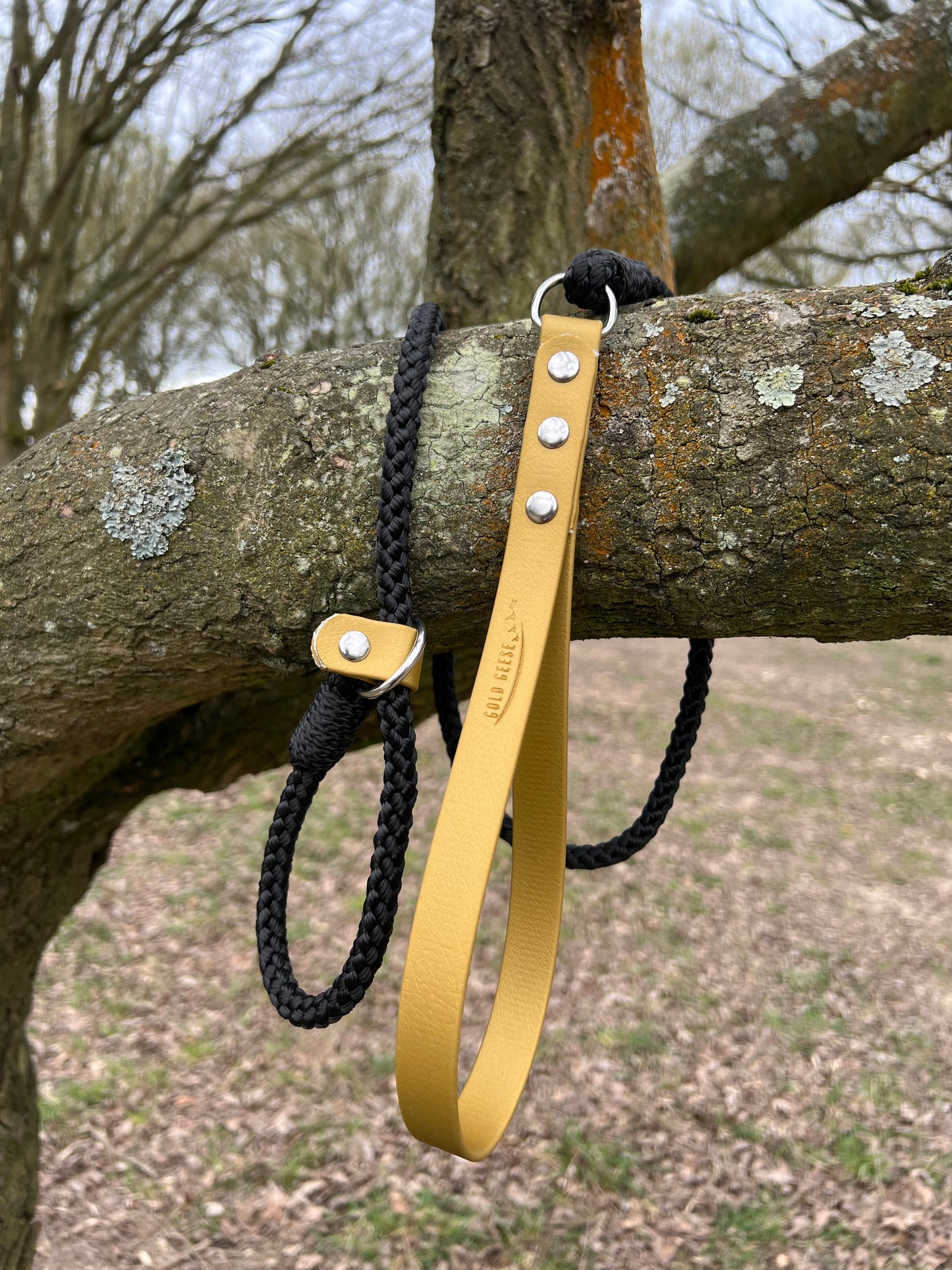 Gold Geese “Walk for Hope” Rope Slip Lead with BioThane® Handle