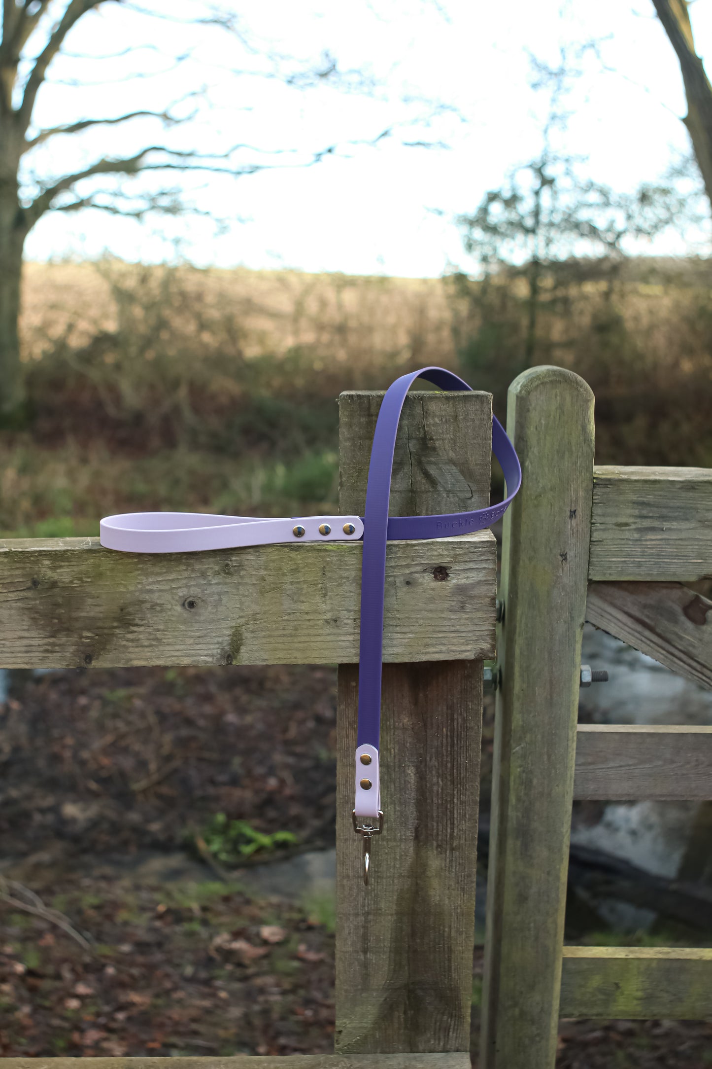 Twin Colour BioThane© Dog Lead Pastel purple & Violet