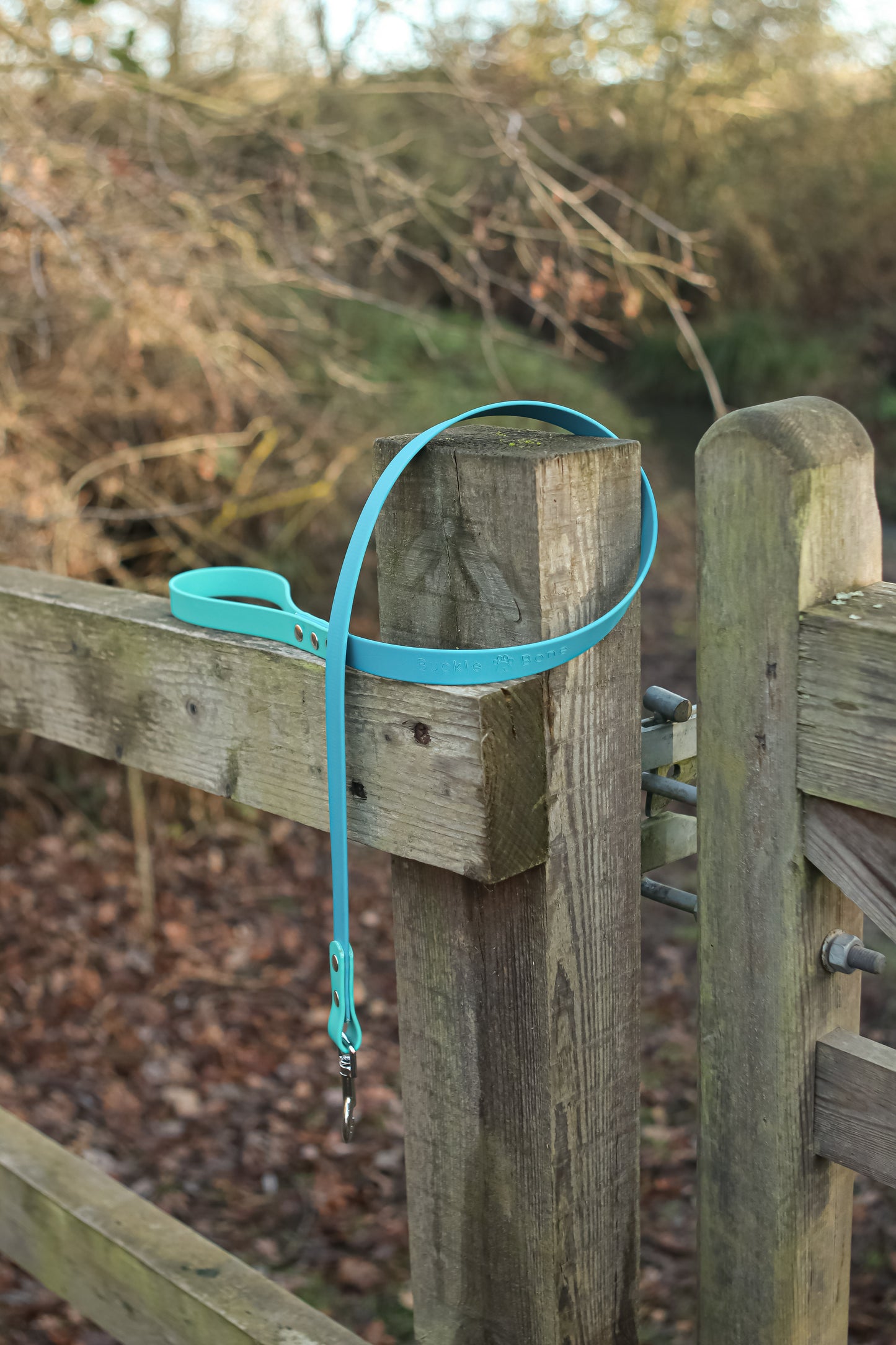 Twin Colour BioThane© Lead Dog Teal & Lagune