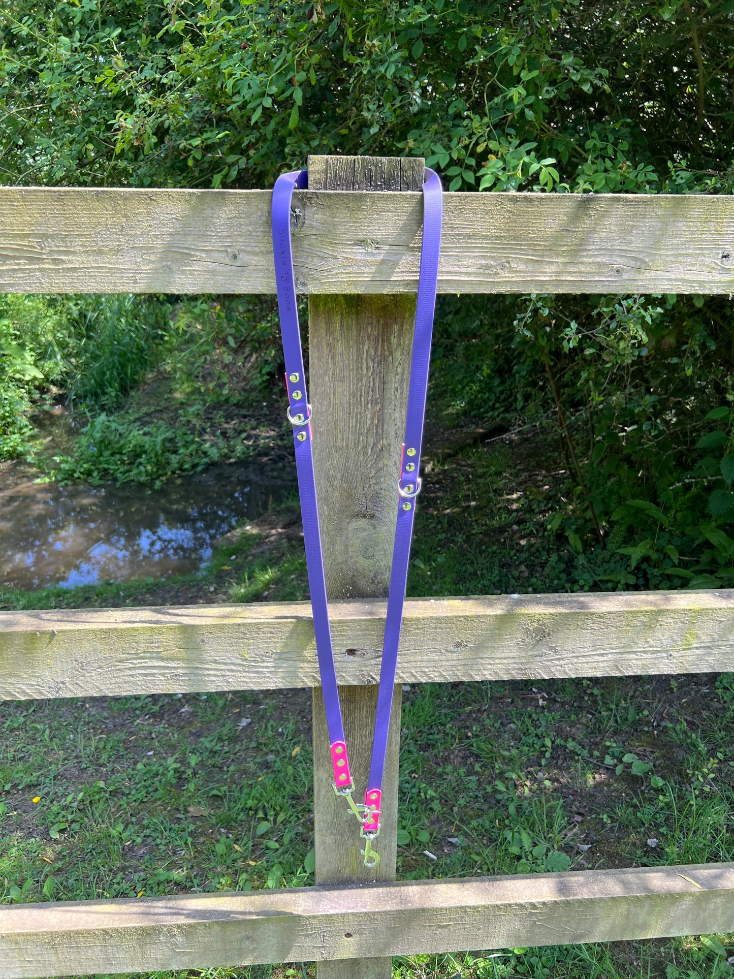 BioThane® Adjustable Dog Training Lead - Purple/Pink