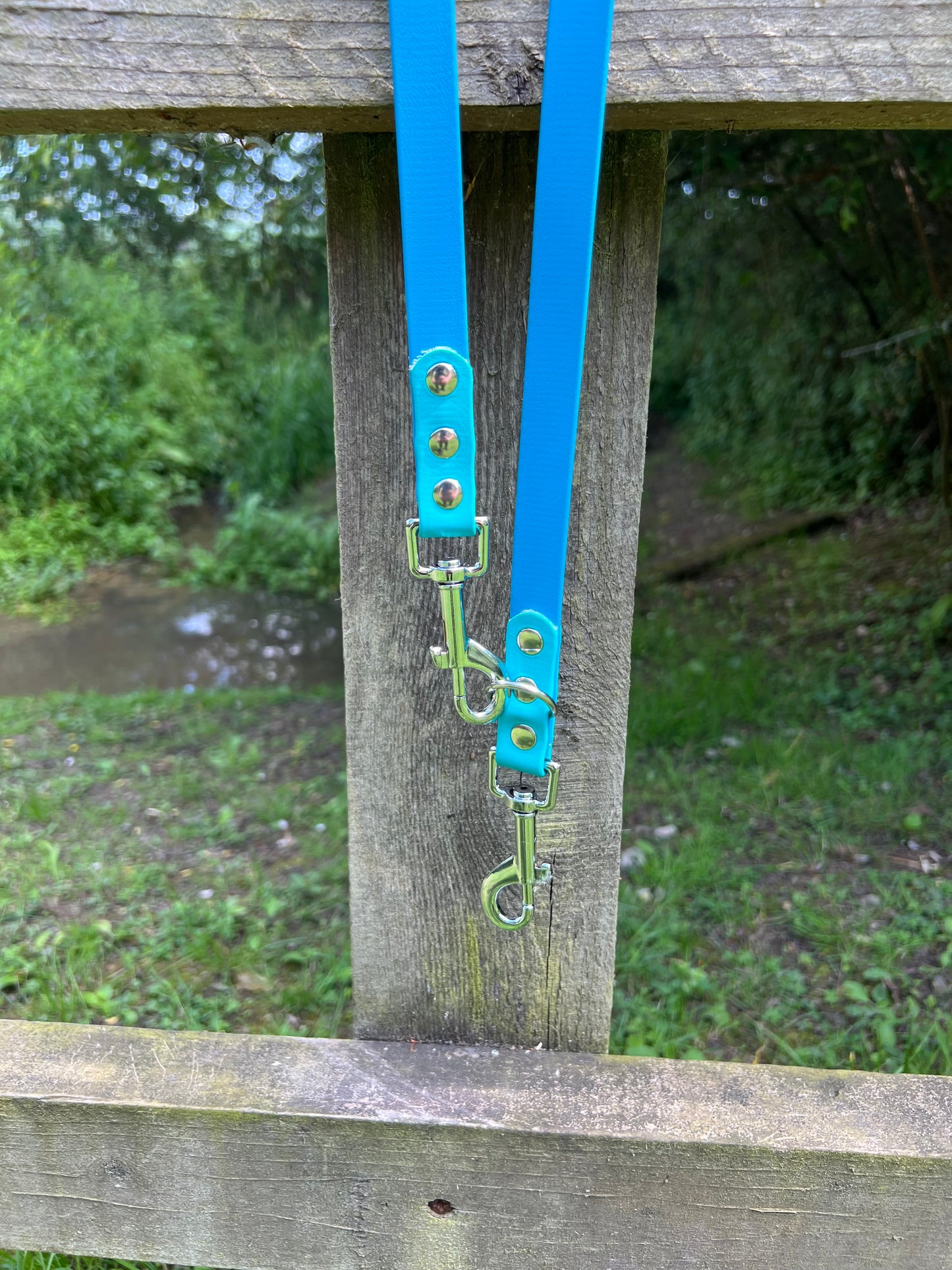 BioThane® Adjustable Dog Training Lead - Lagune/Teal