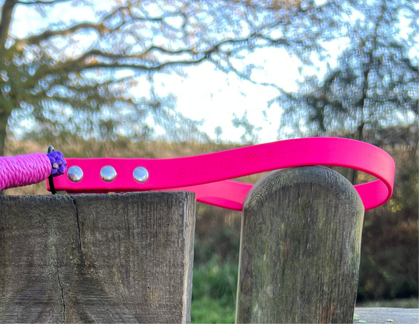 Rope Clip Lead with BioThane® Handle - Pink & Purple