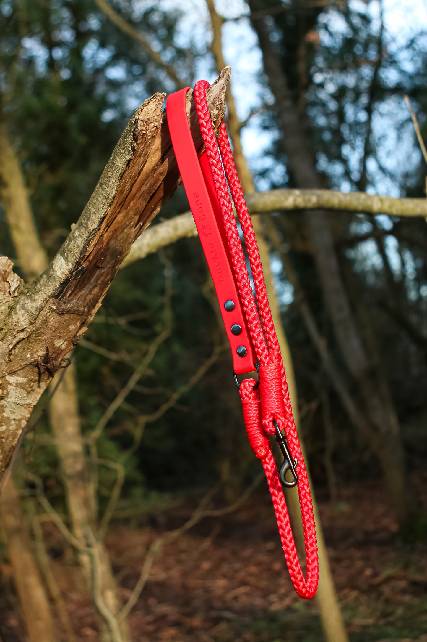 Rope Clip Lead with BioThane® Handle - Red