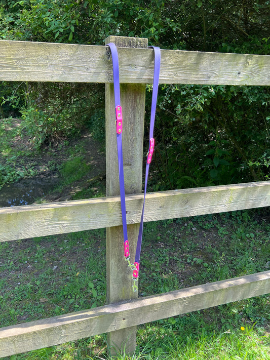BioThane® Adjustable Dog Training Lead - Purple/Pink