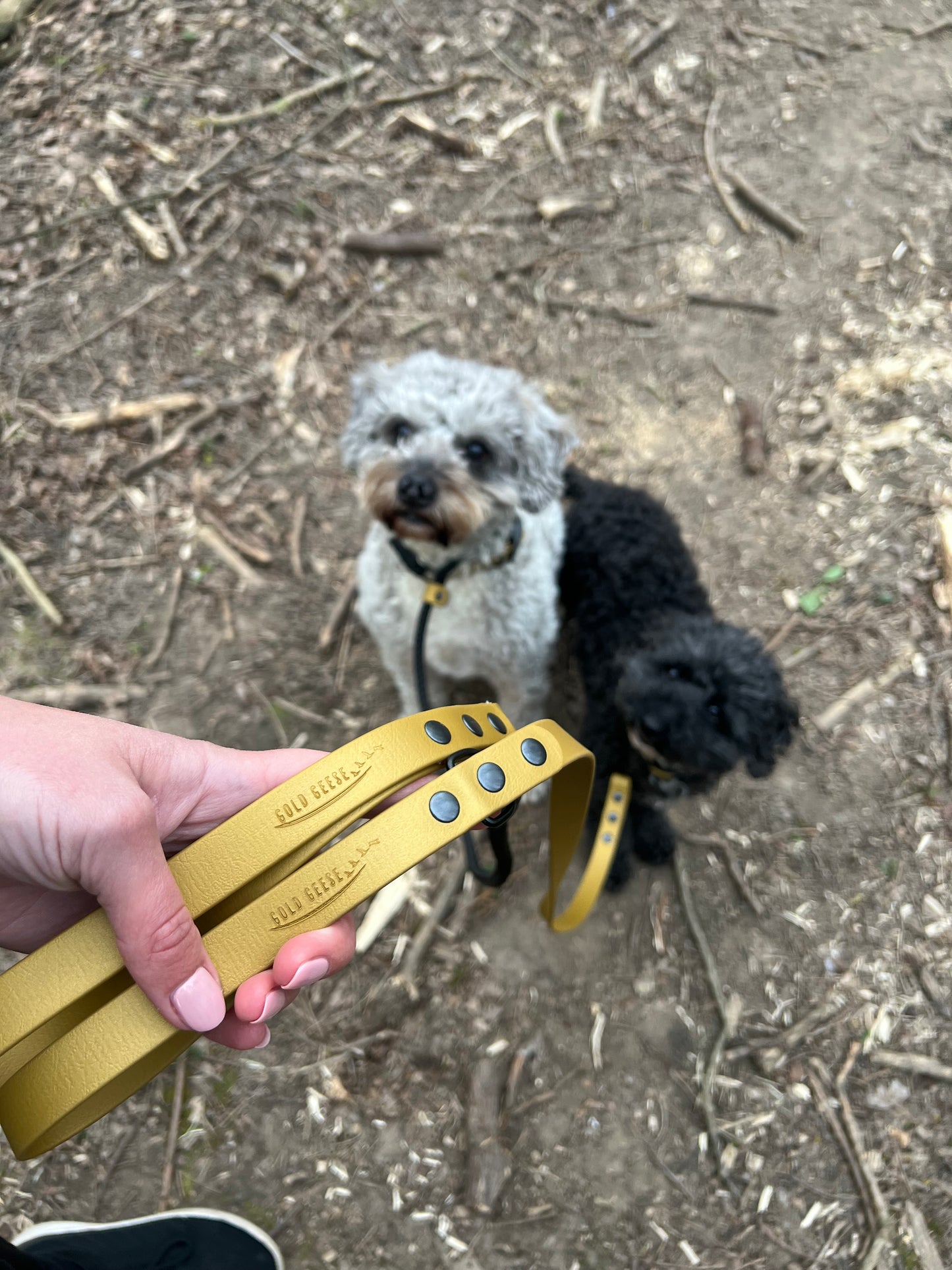 Gold Geese “Walk for Hope” BioThane® Dog Lead