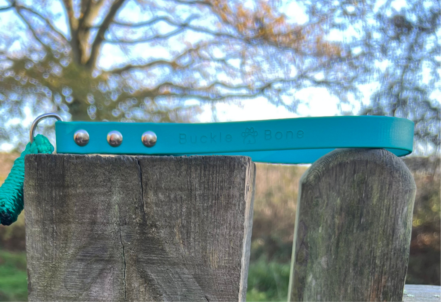 Rope Slip Lead with BioThane® Handle - Teal