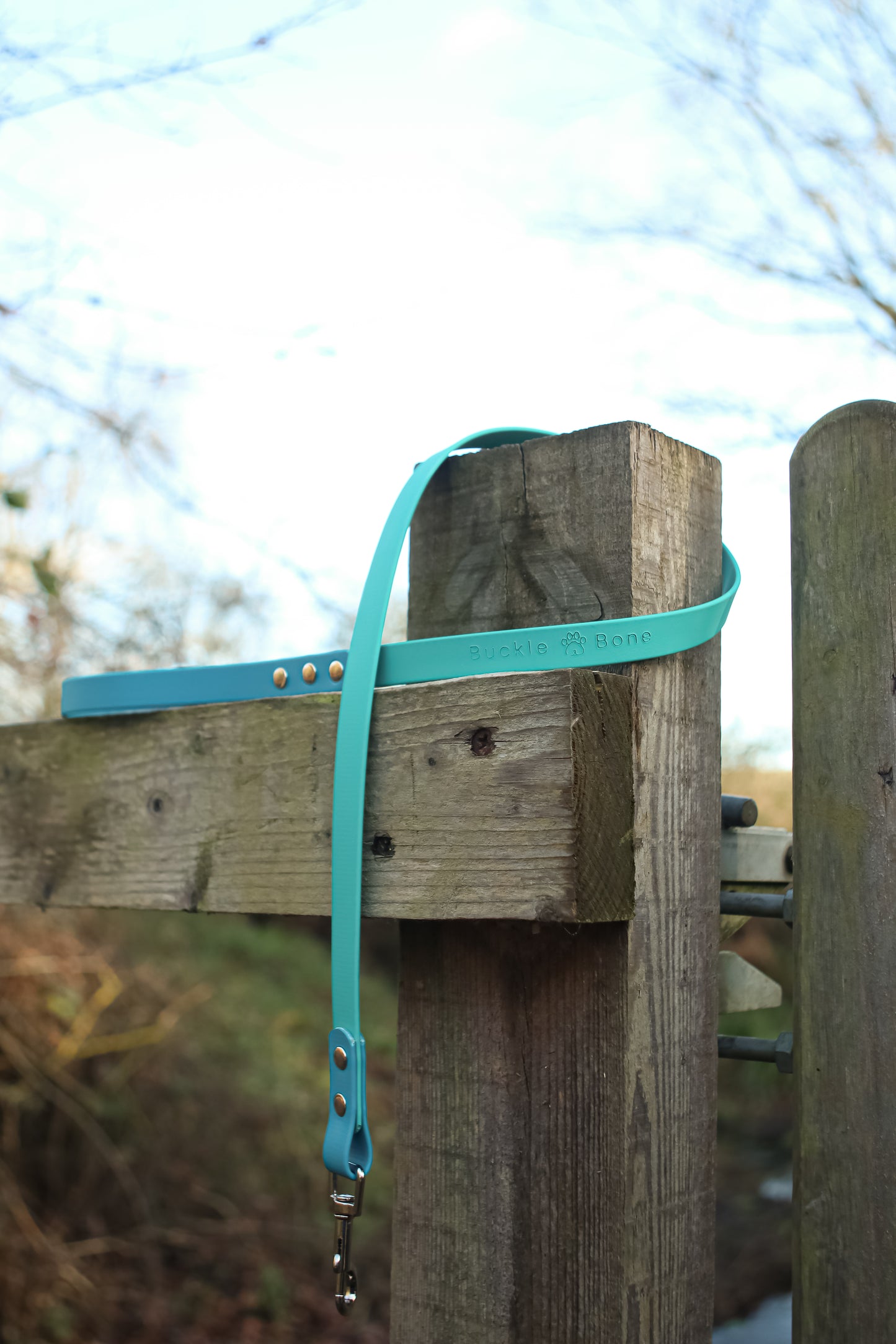 Twin Colour BioThane© Lead Dog Lagune & Teal