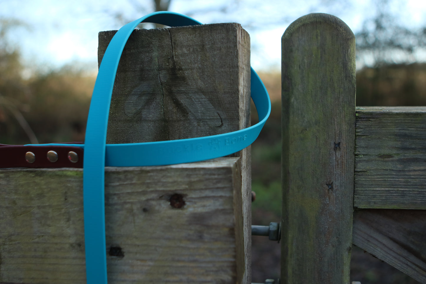 Twin Colour BioThane© Dog Lead Brown & Lagune Blue
