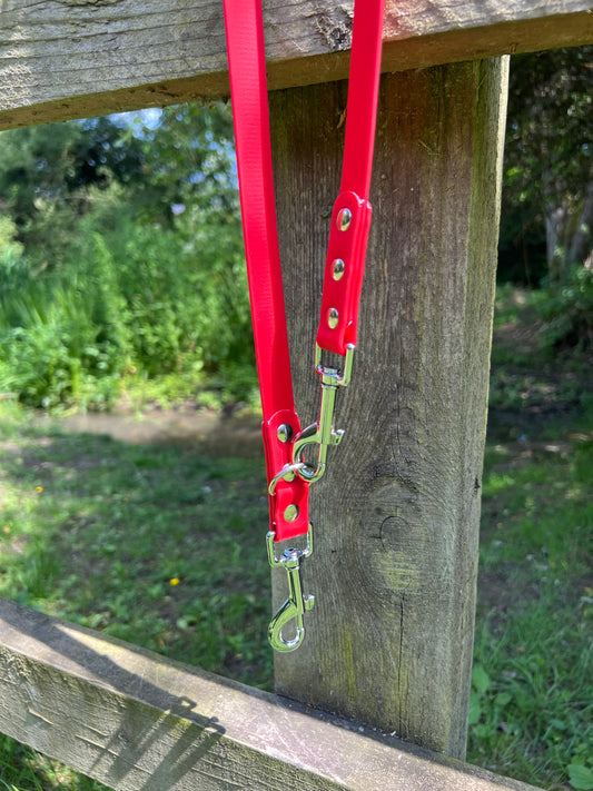 BioThane® Adjustable Dog Training Lead - Red