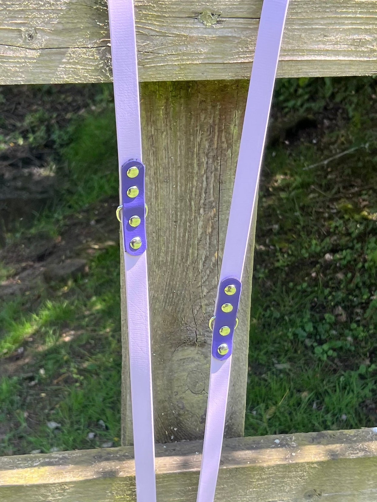 BioThane® Adjustable Dog Training Lead - Pastel Purple/Violet