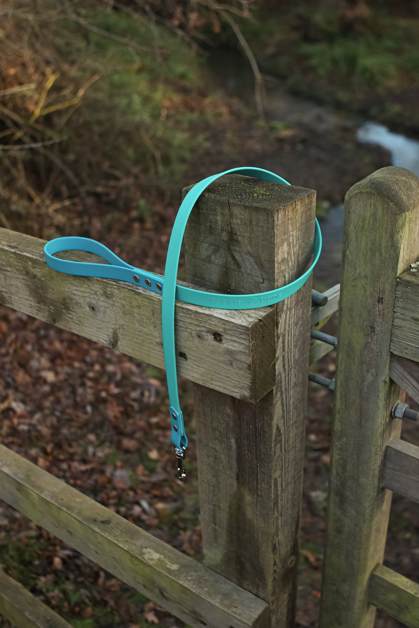 Twin Colour BioThane© Lead Dog Lagune & Teal