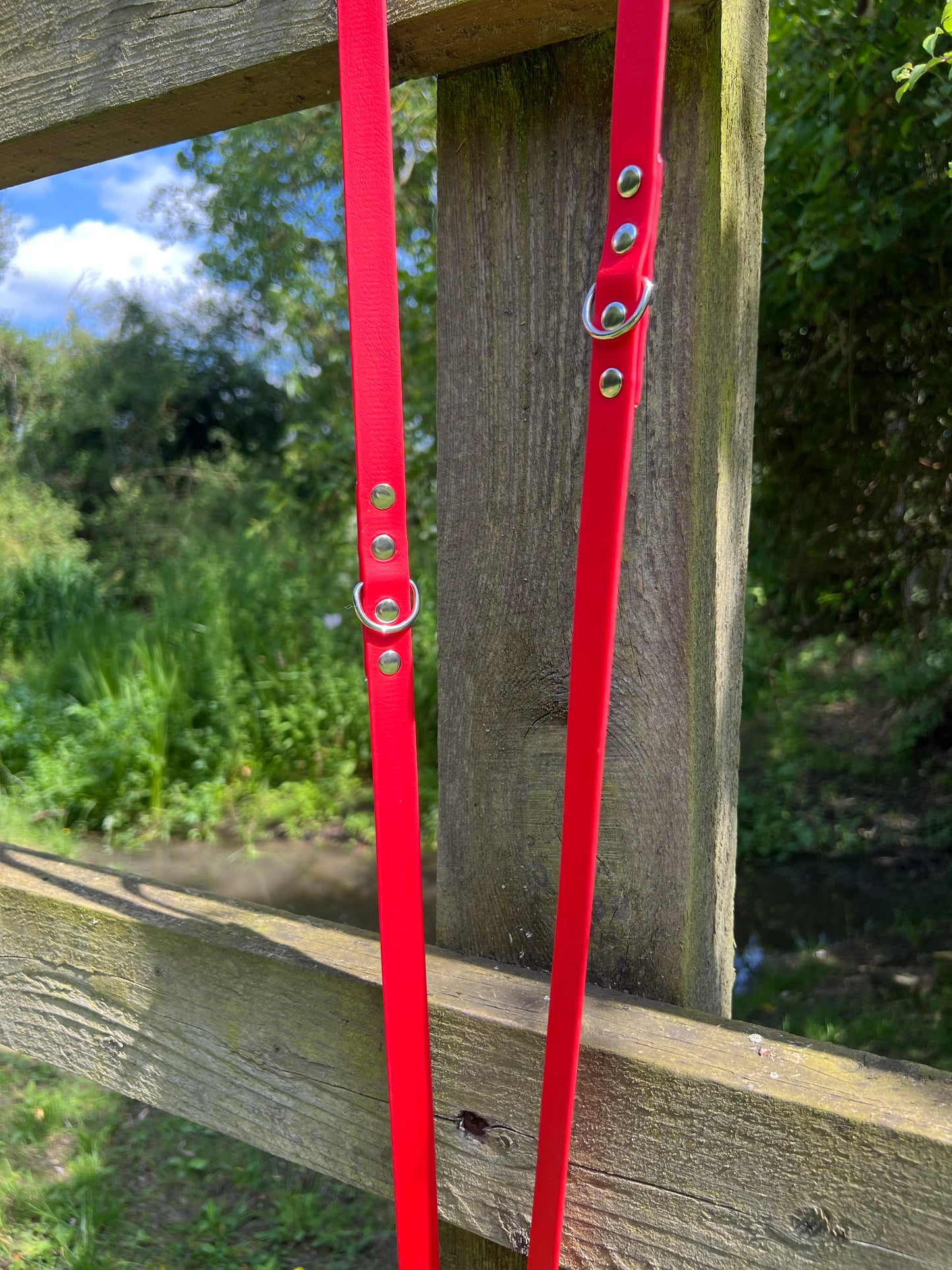 BioThane® Adjustable Dog Training Lead - Red