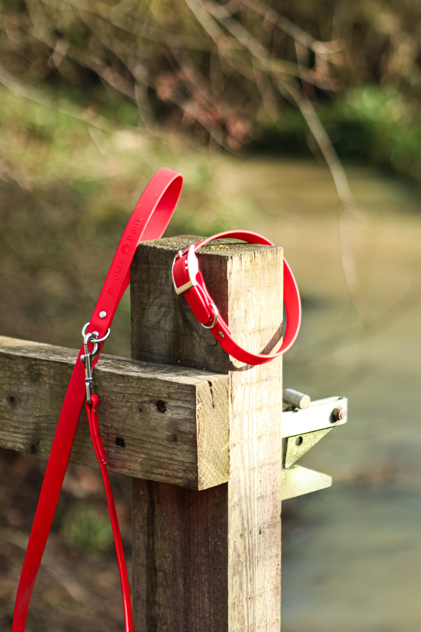 Classic BioThane© Collar - Red