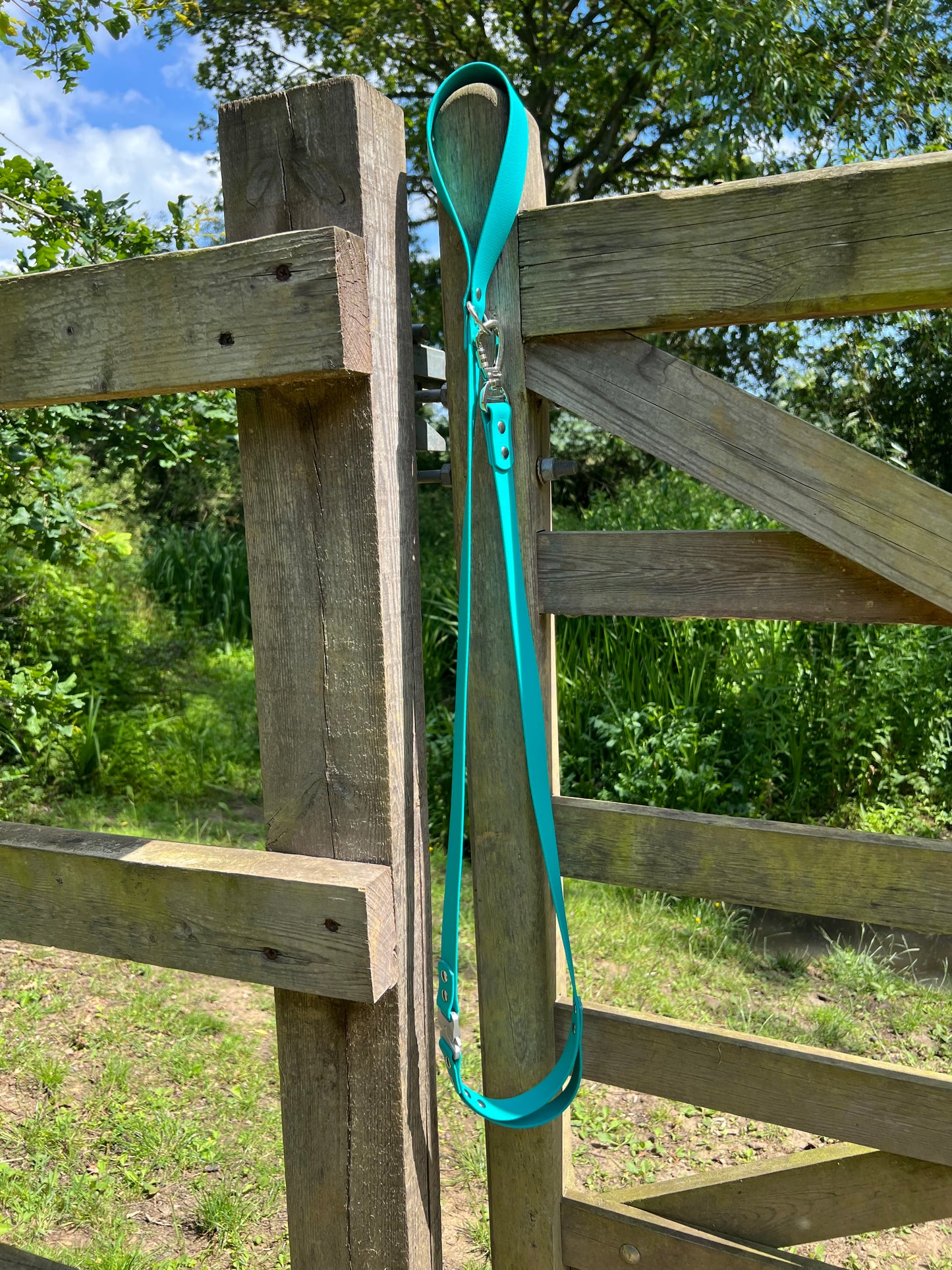 Tactical BioThane© Lead - Teal