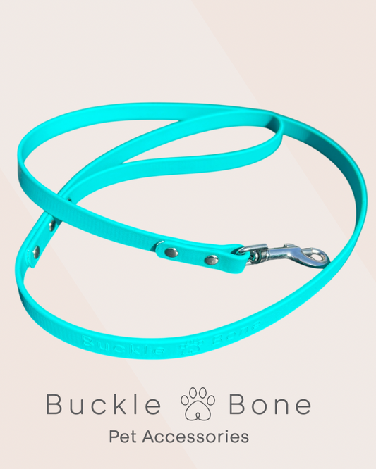Mini-Me BioThane® Teal Lead