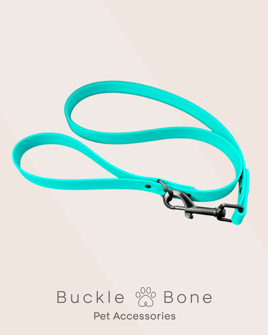 Teal - Waterproof BioThane© Dog Lead