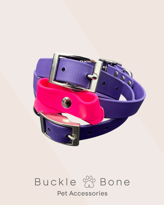 Classic BioThane© Collar - Violet
