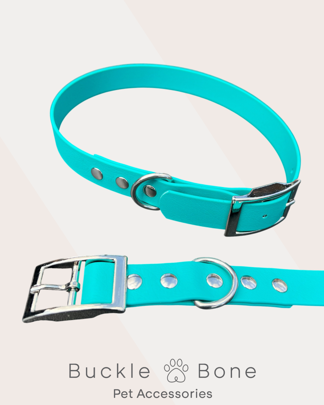 Heavy Duty Waterproof BioThane Dog Collar – Teal