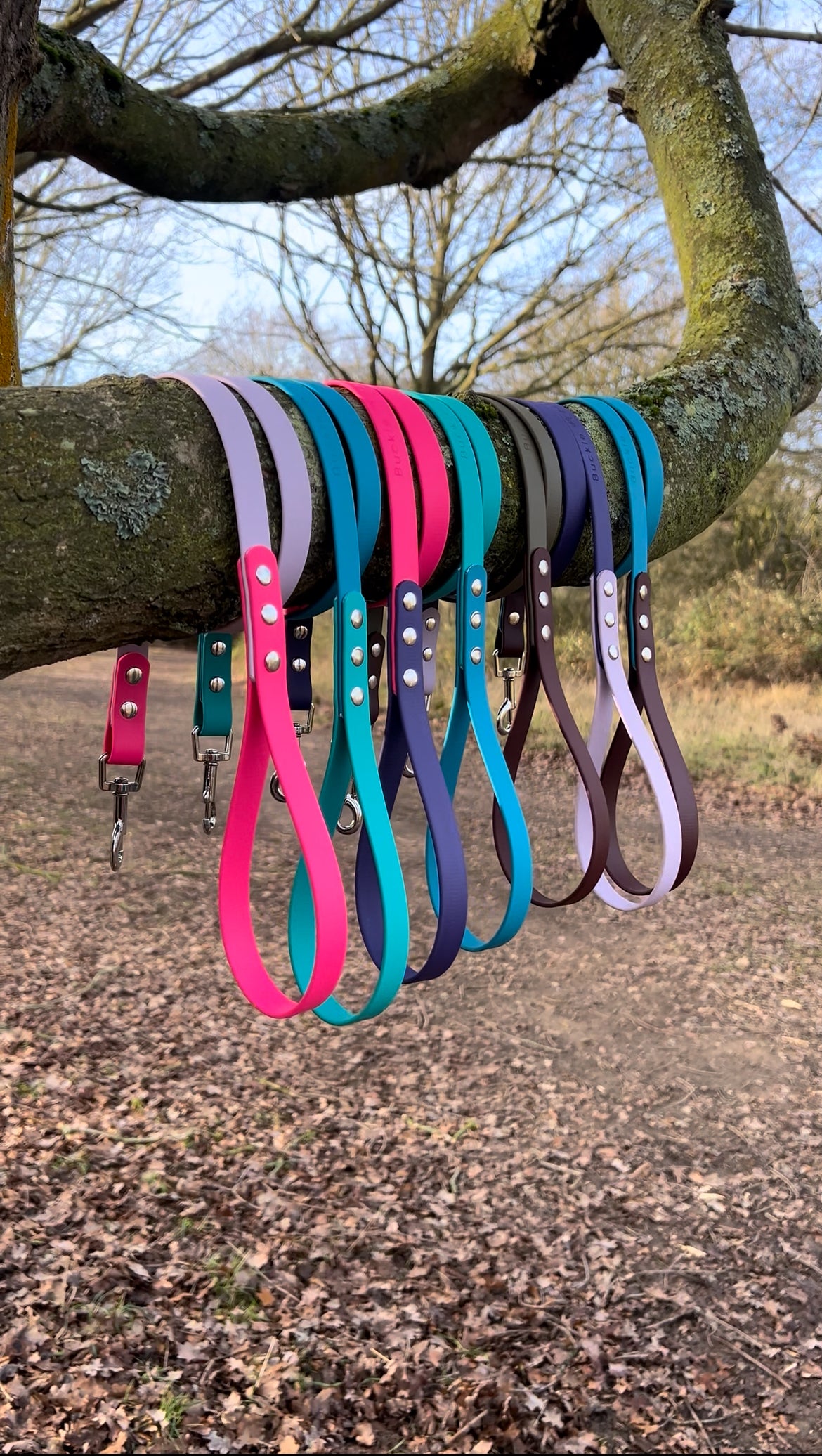 Twin Colour BioThane© Dog Lead Pink & Pastel Purple