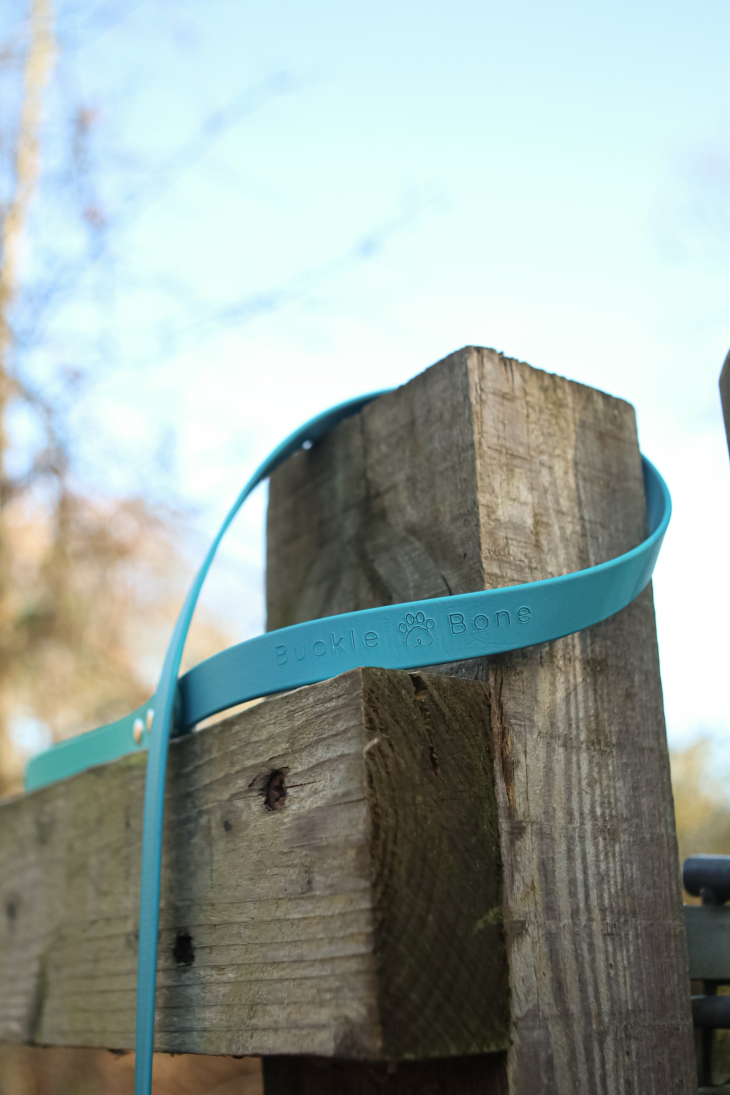 Twin Colour BioThane© Lead Dog Teal & Lagune