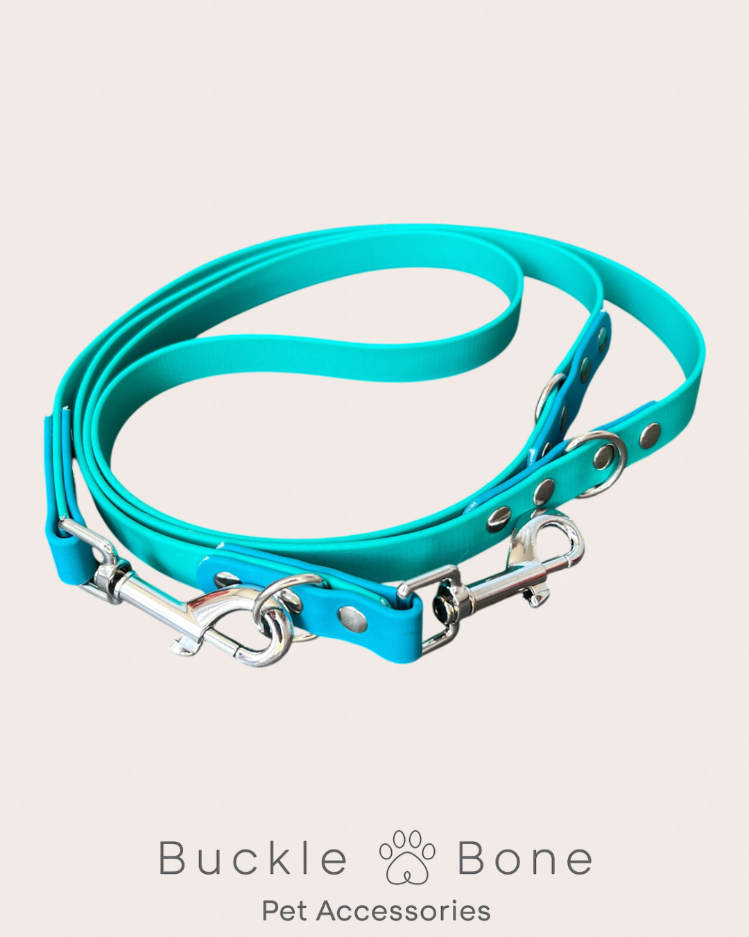 BioThane® Adjustable Dog Training Lead - Teal/Lagune