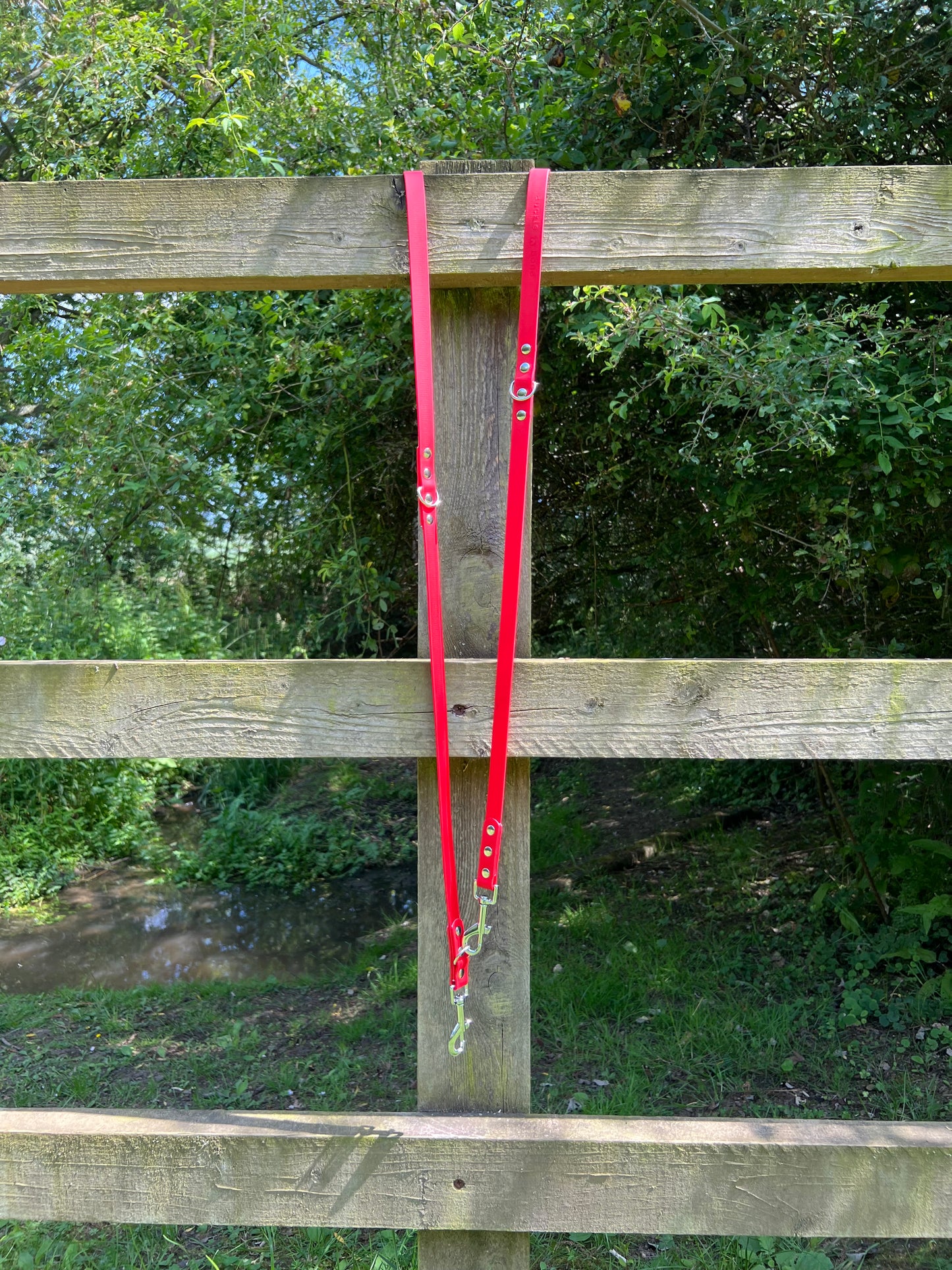 BioThane® Adjustable Dog Training Lead - Red