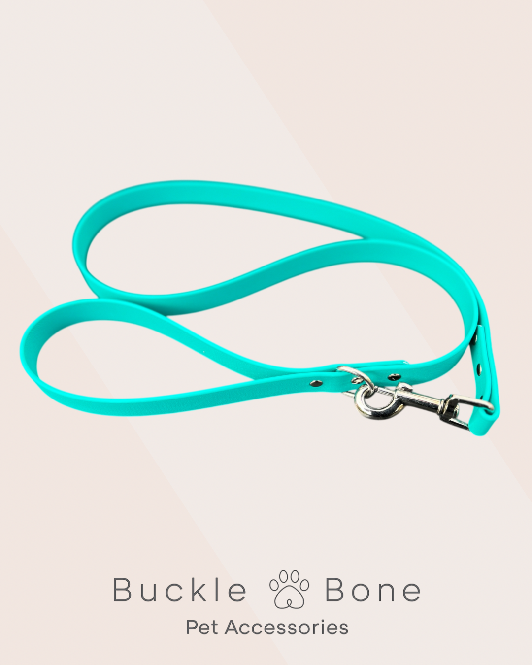 Teal - Waterproof BioThane© Dog Lead