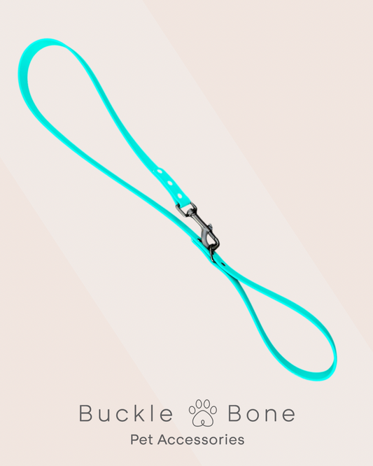Teal - Waterproof BioThane© Dog Lead