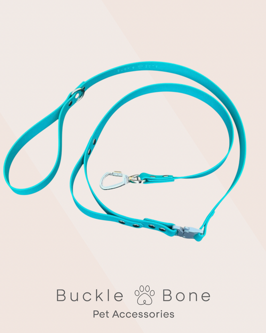 Tactical BioThane© Lead - Teal